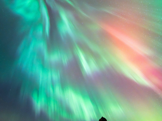 Souvenirs du large - Boutique souvenir et Galerie d'art-Les Bergeronnes必去景点