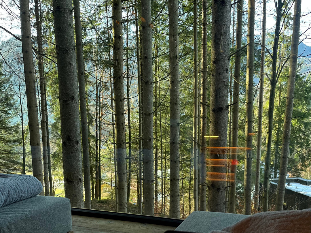 Hotel Fischerwirt Natur Waldspa主图