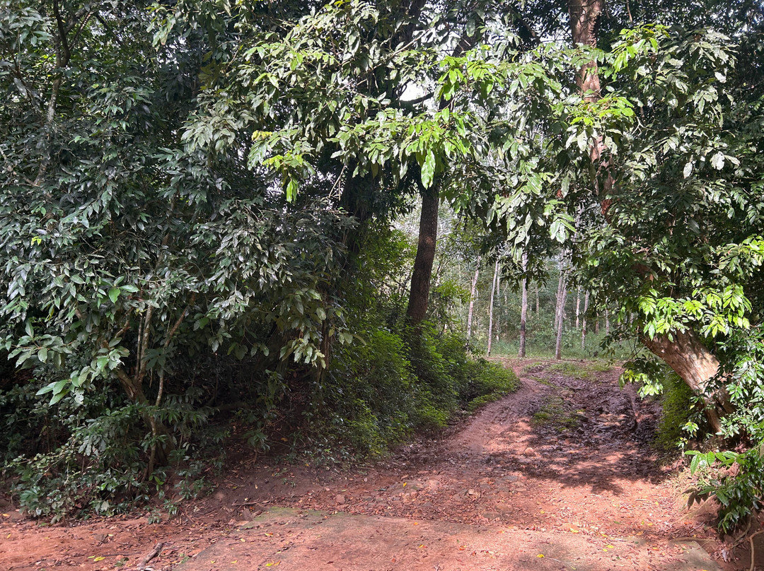 EllaXC MTB Sri Lanka-埃勒必去景点