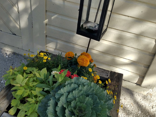 Koreshan State Park-埃斯特罗必去景点