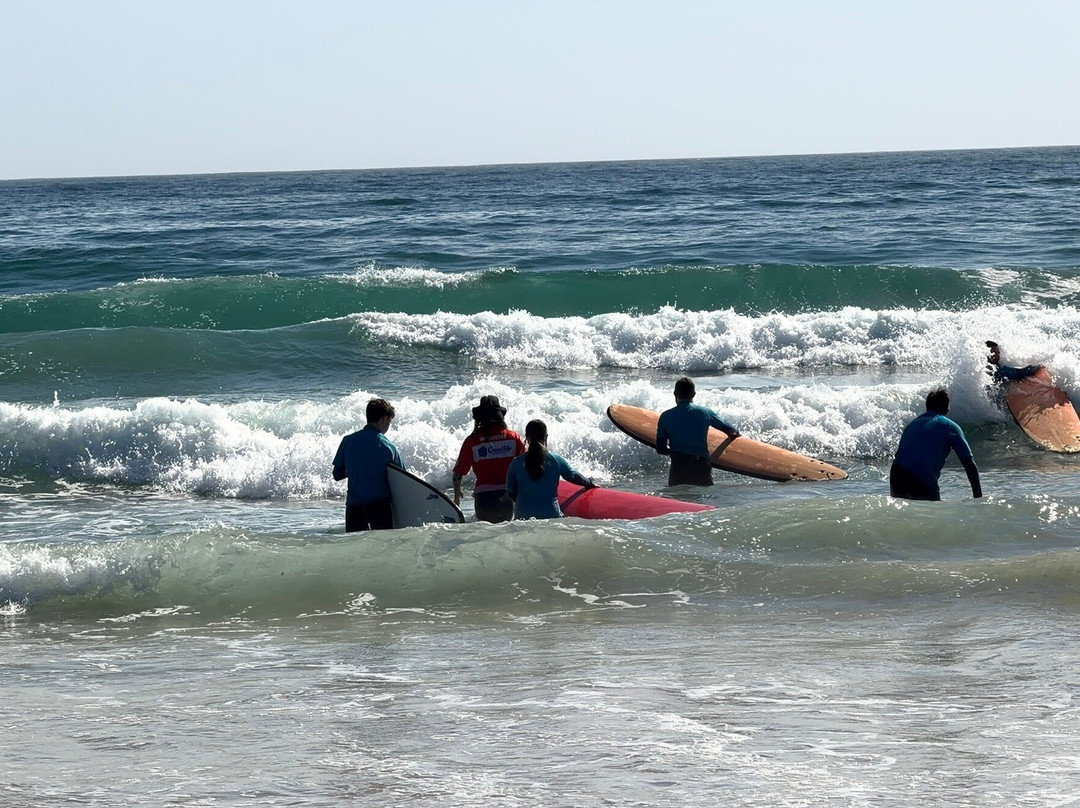Coastlife Adventures-塔斯拉必去景点