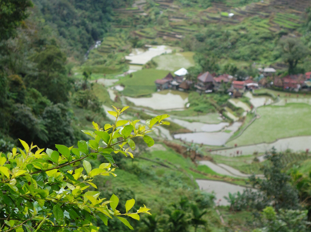 Bangaan Ifugao Rice Terraces-Banaue必去景点