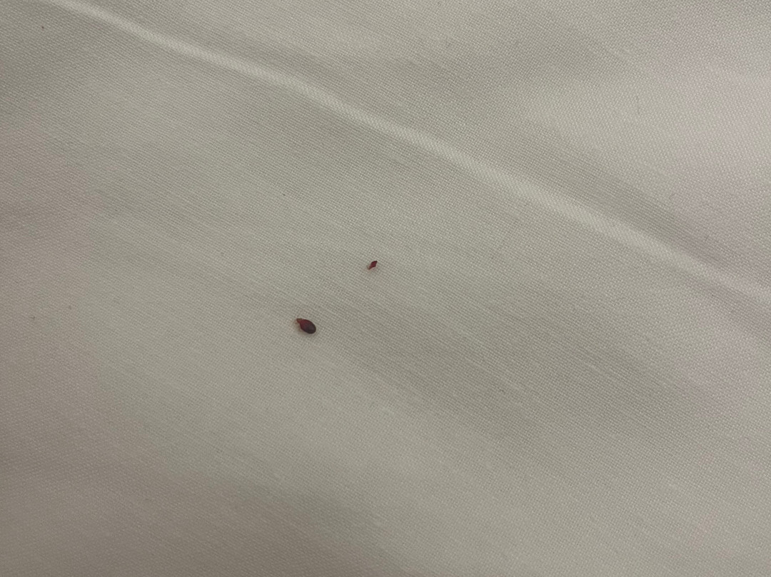 Olympia Hotel, Events & Spa主图