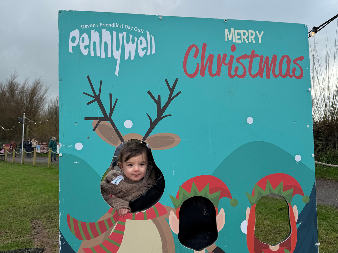 Pennywell Farm-Buckfastleigh必去景点