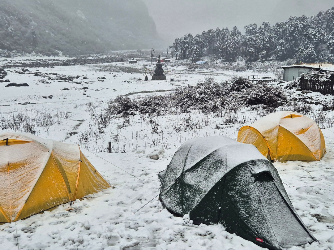 Hayley Webb Mountain Adventures-Hesket Newmarket必去景点