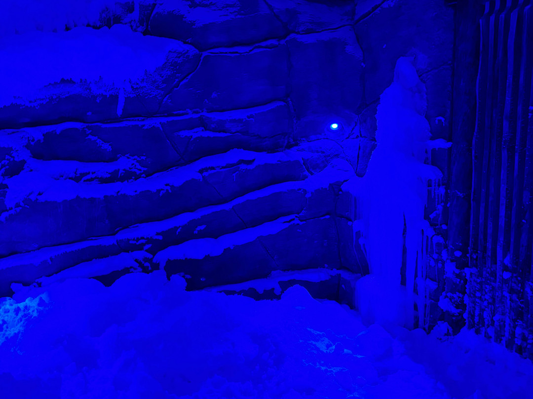 Vila Vita Rosenpark主图