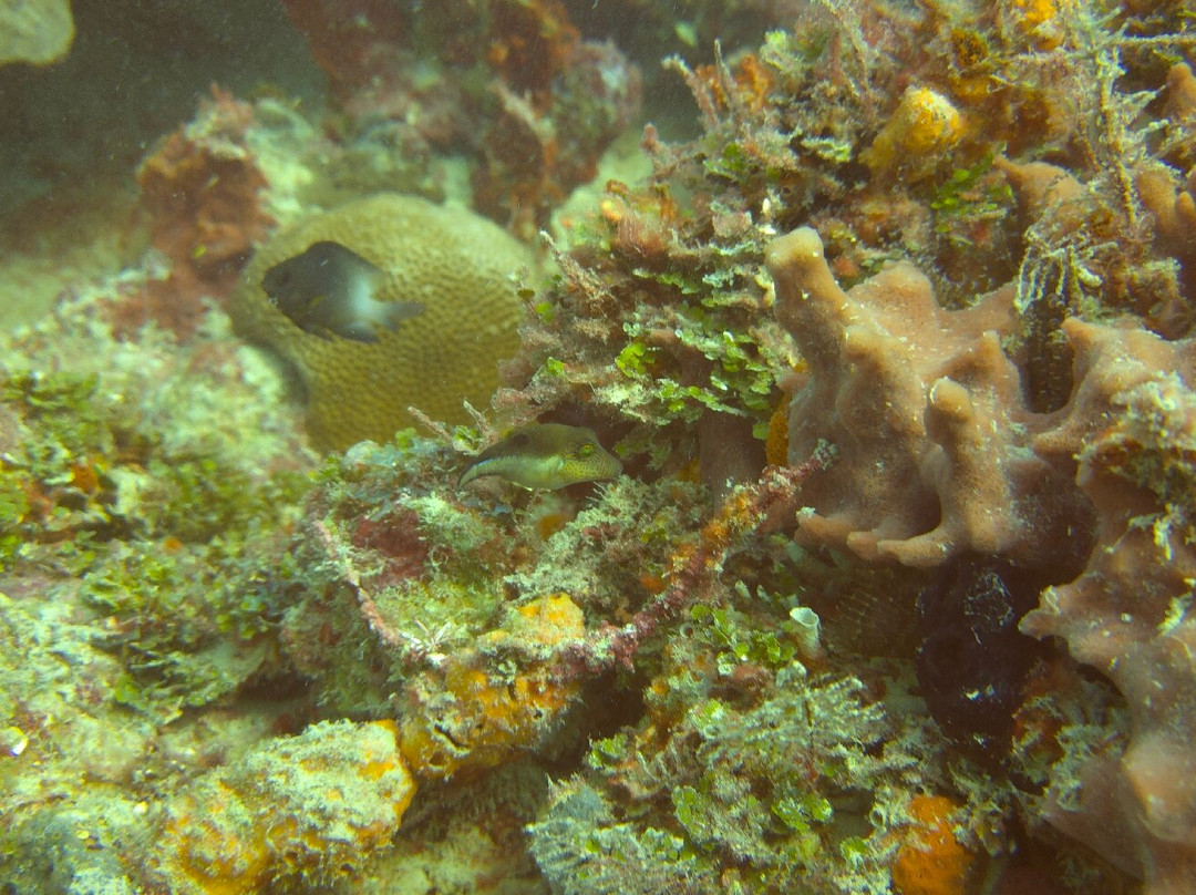 Seaklub la Romana-拉罗马纳必去景点