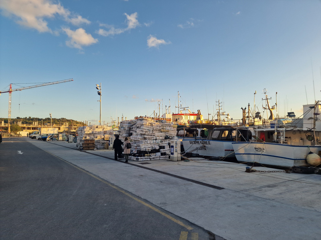 Marsaxlokk Port-Marsaxlokk必去景点