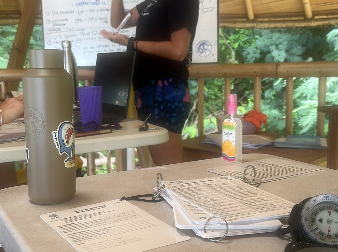 Purple Dive Penida-珀尼达岛必去景点