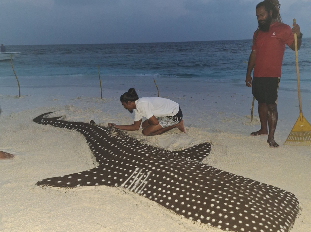 Adora Liveaboard, Maldives-马累必去景点