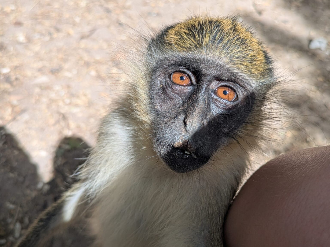 比吉洛森林公园-班竹必去景点