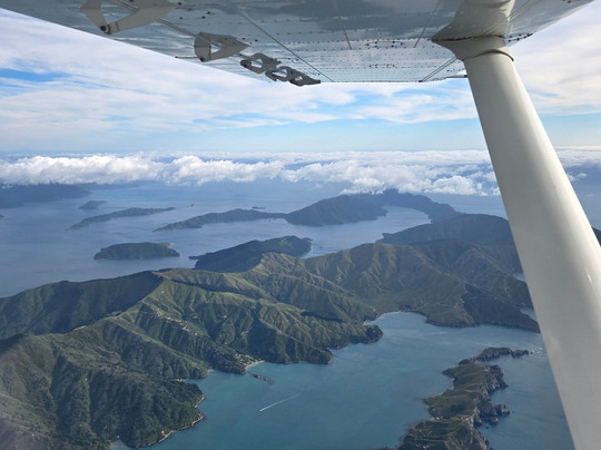 Golden Bay Air-塔卡卡必去景点