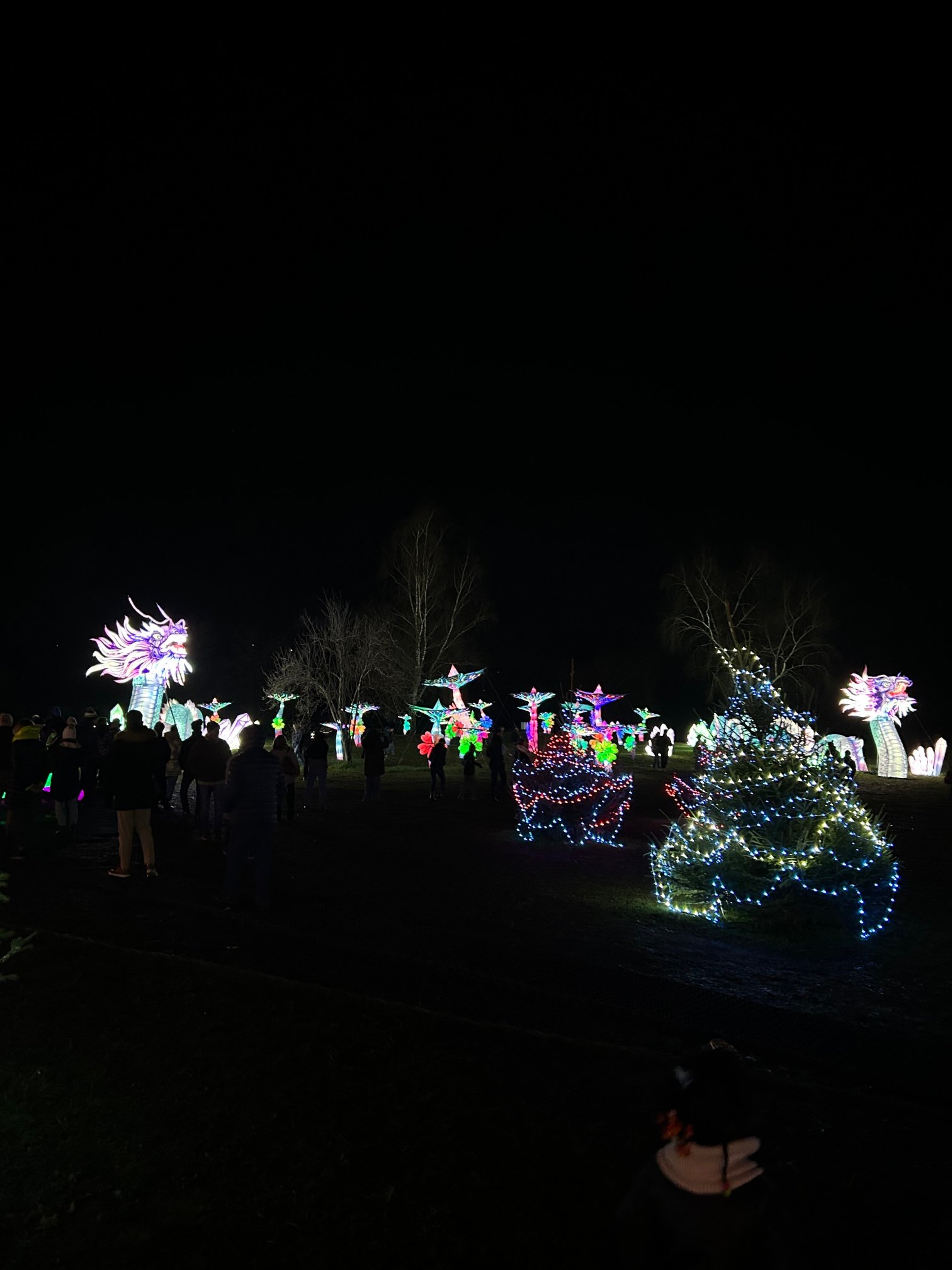 卡斯特诺威尔酒店 - 城堡连锁酒店-官方