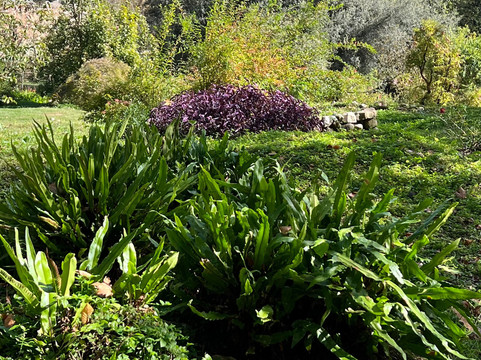 Discovery Tours-Trevignano Romano必去景点