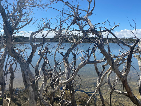 Kepwari Walk Trail-埃斯佩兰斯必去景点