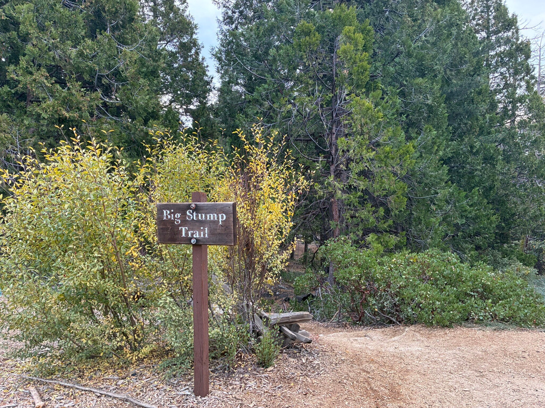 Big Stump Basin-红杉&国王峡谷国家公园必去景点