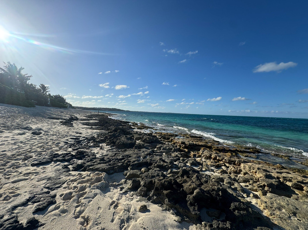 Smith's Reef-特克斯和凯科斯必去景点