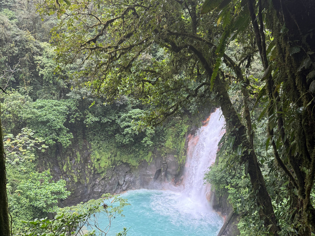 Pura Vida Concierge Services-塔马林多必去景点