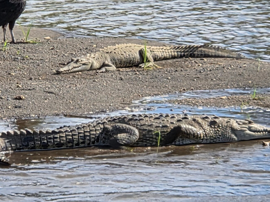 Mango's Adventures-艾拉杜拉必去景点