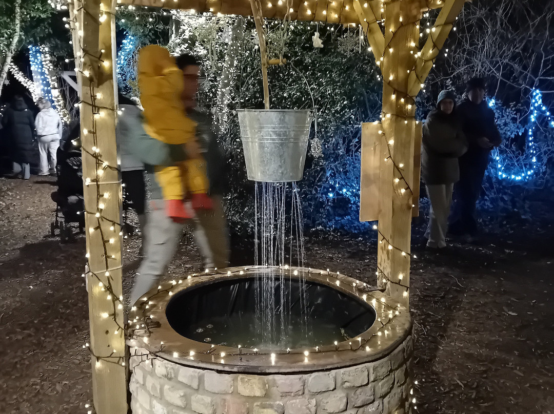 Quex Adventure Farm Park-Birchington必去景点