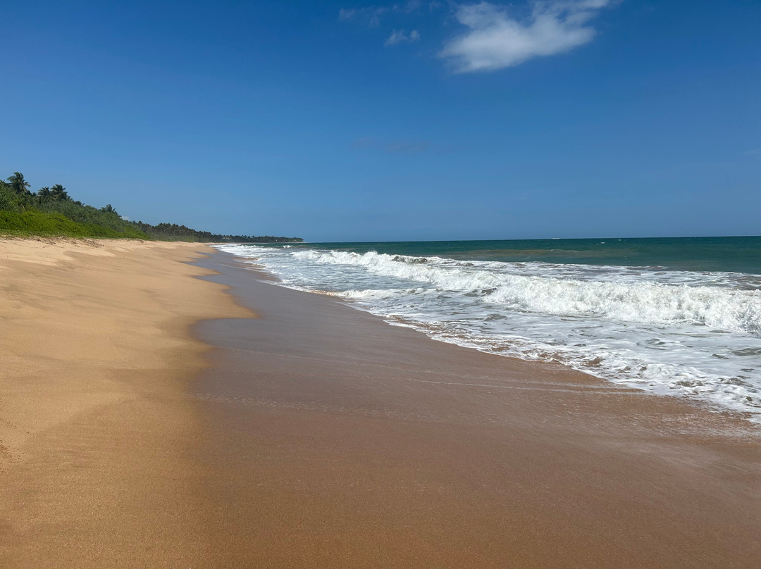 Sleeping Elephant Beach Resort主图