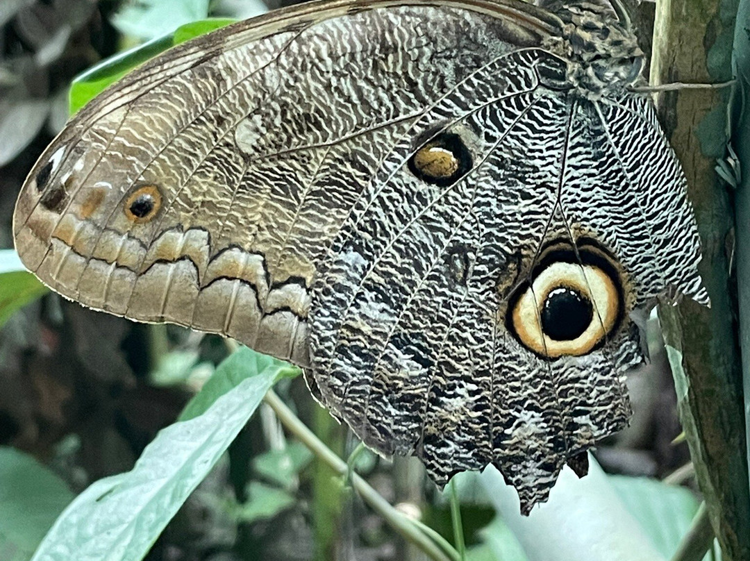 Centro Urku-Tarapoto必去景点