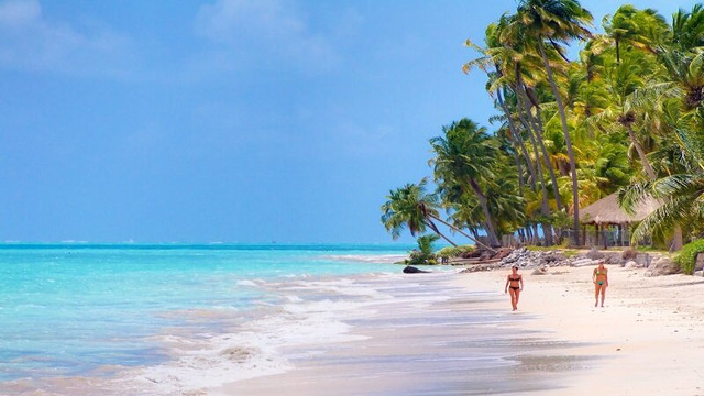 Praia Ponta de Mangue-Maragogi必去景点