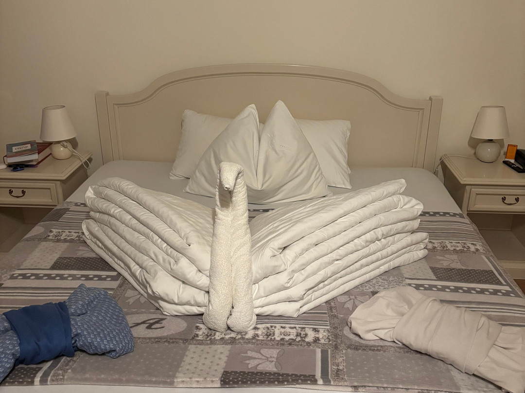 Hotel Stefanshof主图