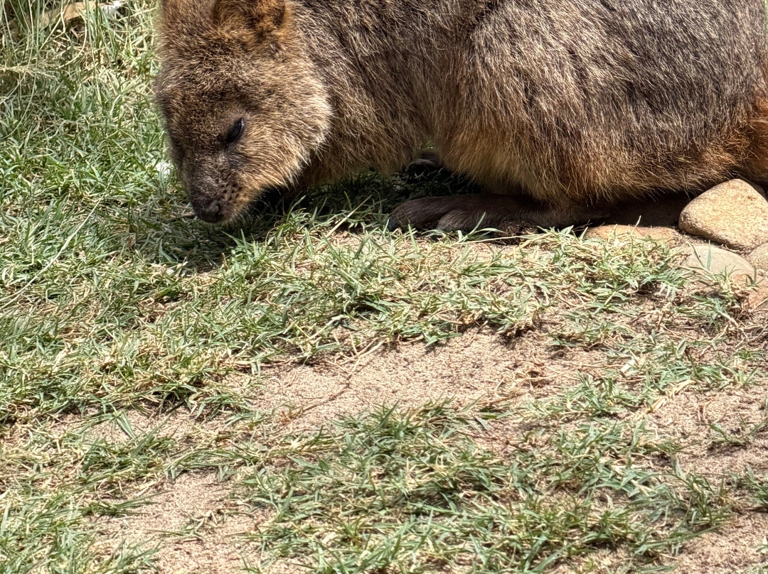 Blue Mountains Tours-格兰布鲁克必去景点