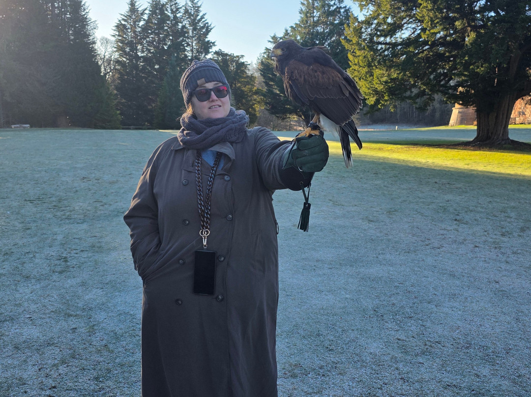 Dalhousie Castle Falconry-邦尼里格必去景点