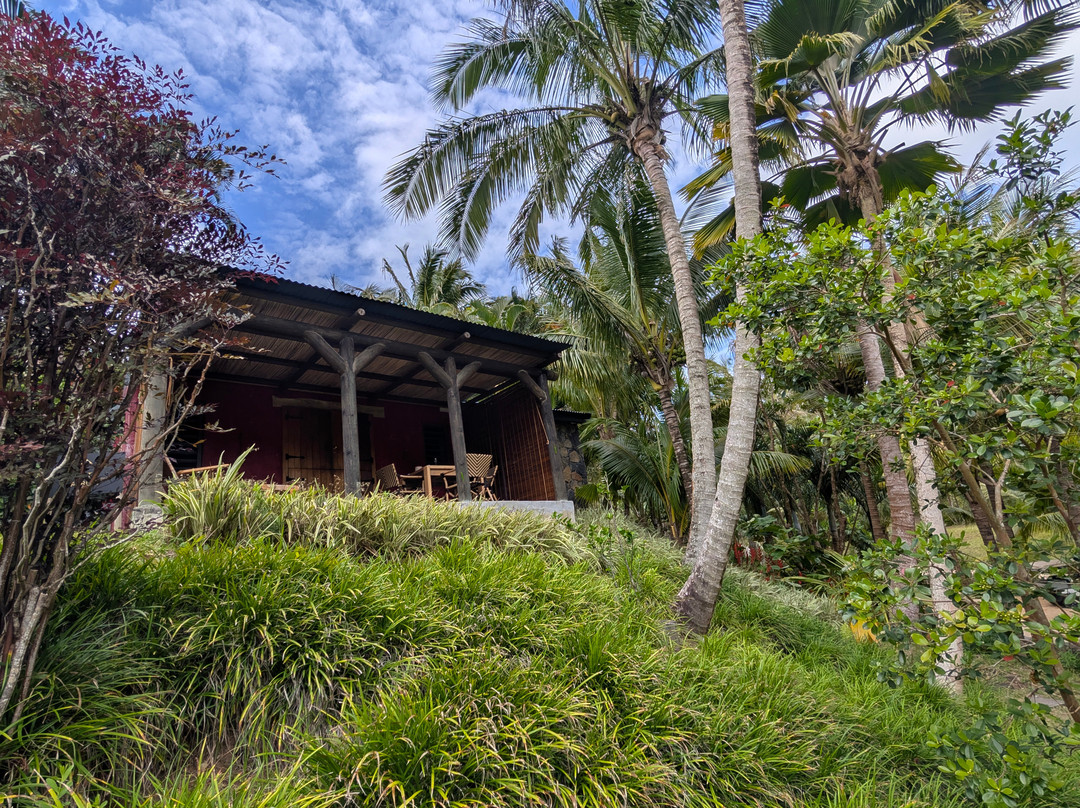 哈马独家洛奇酒店主图