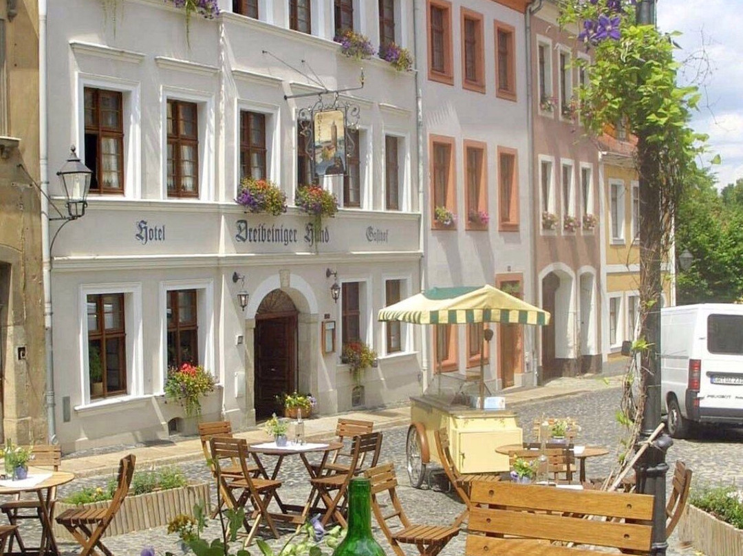 Dreibeiniger Hund主图