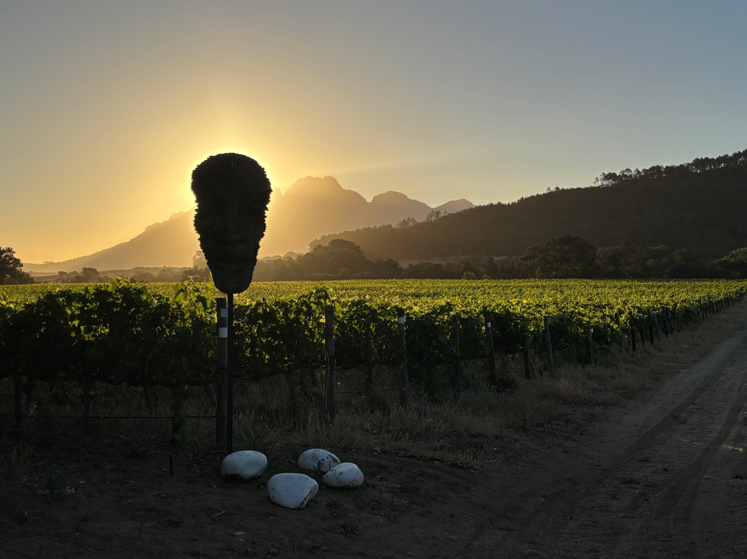 Lynx Wine-法兰舒克必去景点