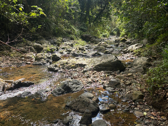 Salto Curet Waterfall-Maricao必去景点