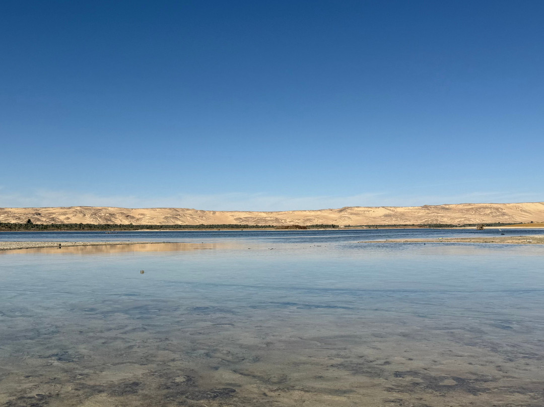 Hamada Desert Safari-Bawiti必去景点