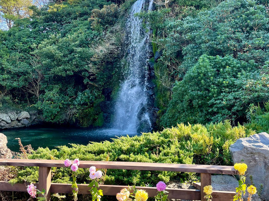 黑猪肉一条街-济州必去景点