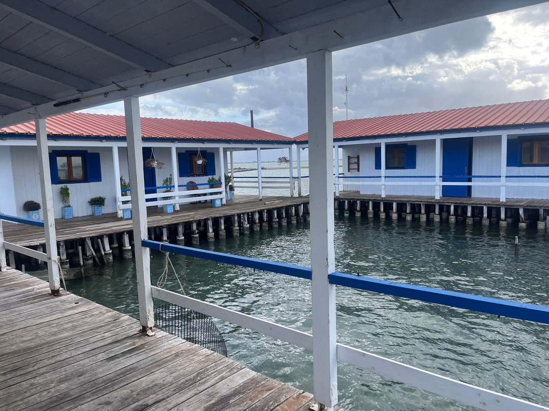 Messolonghi by Locals-Mesolongion必去景点