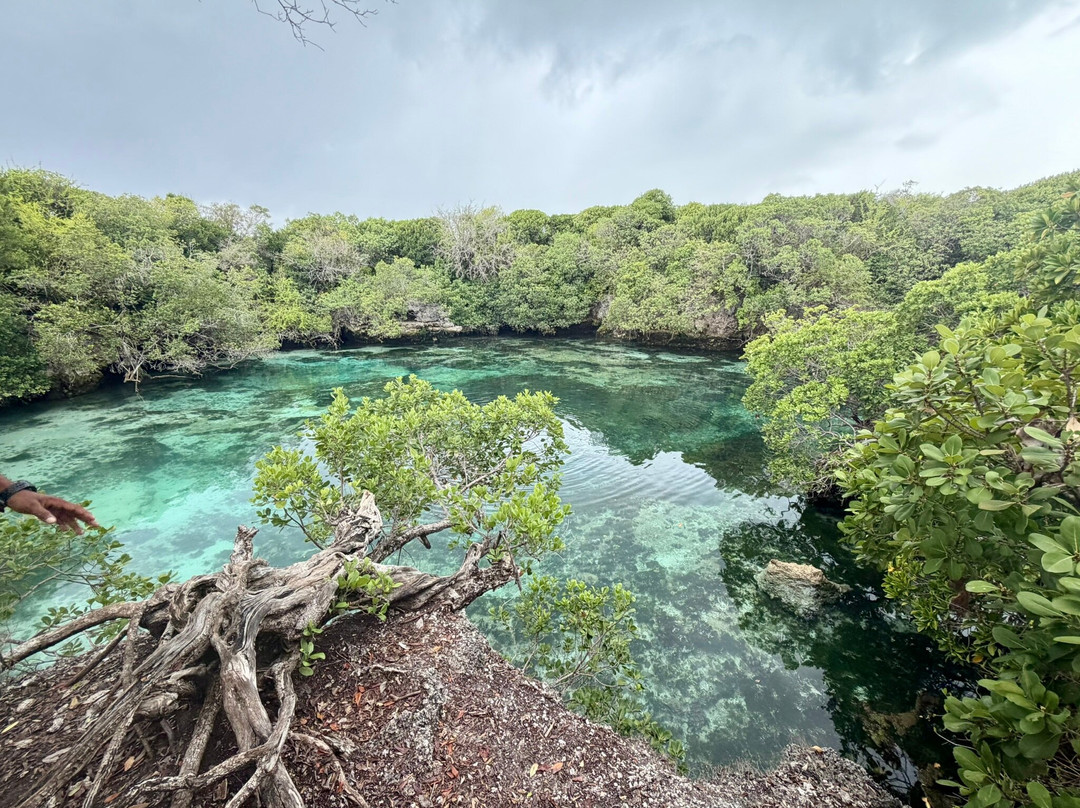 Eco Shamba Kilole Lodge主图