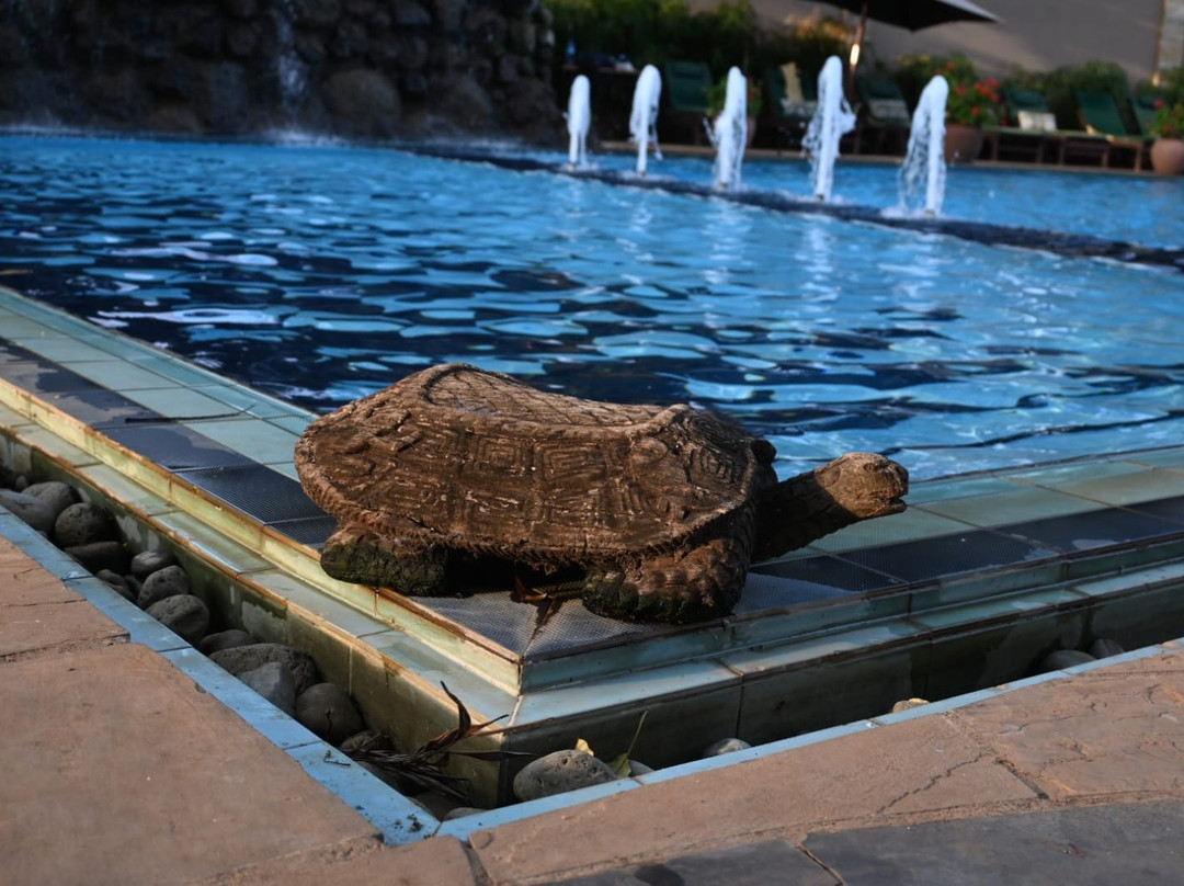 Ameg Lodge Kilimanjaro主图