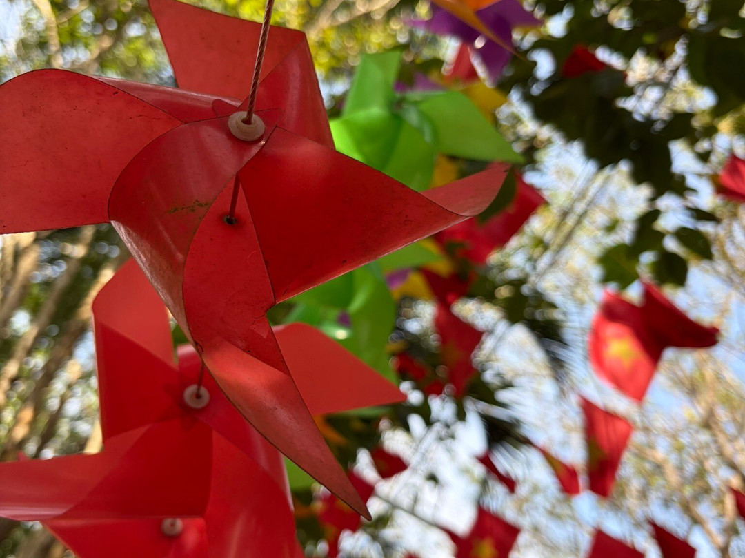 DaLat Day Tours-大勒必去景点