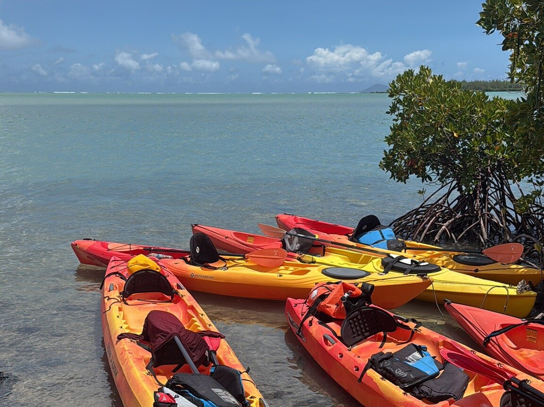 Sea Kayak Adventures-毛里求斯必去景点