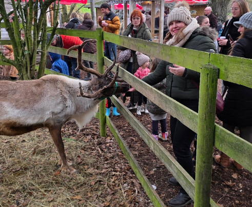 Manor Farm Park & Woodlands-拉夫堡必去景点