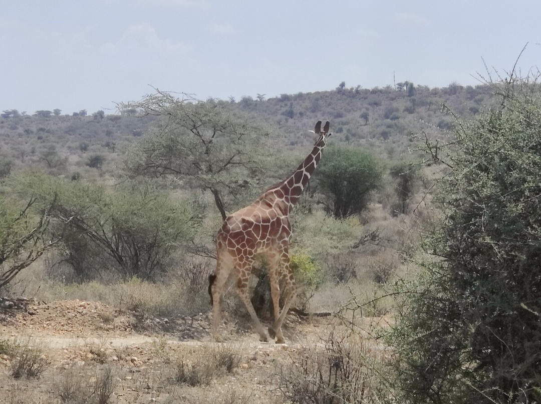 Mamasavana-马林地必去景点
