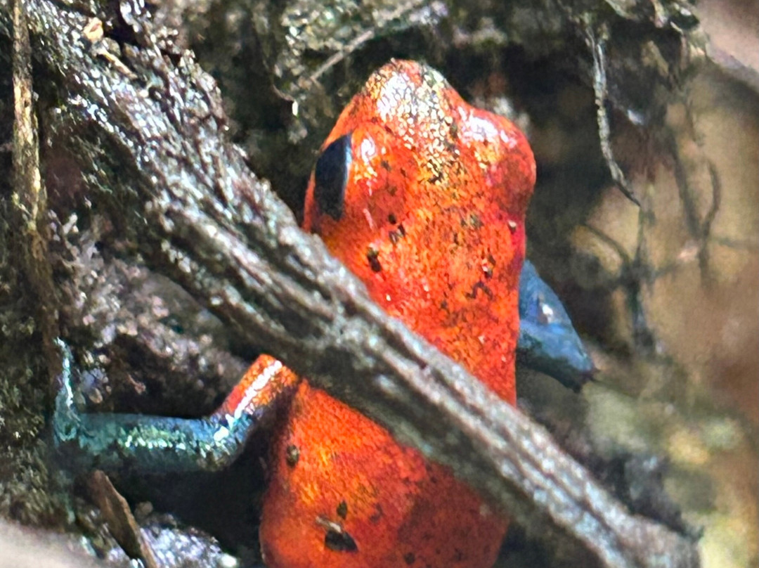 NexusTours-圣何塞必去景点