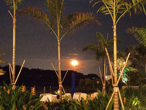 Dusit Thani Laguna Singapore主图