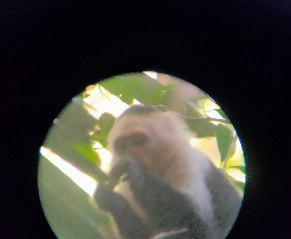 Manuel Tour Guide-卡维塔必去景点