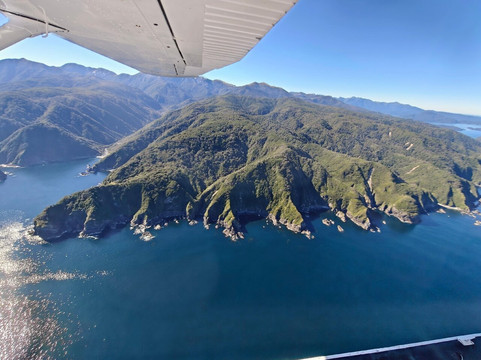 Wings & Water-蒂阿瑙必去景点