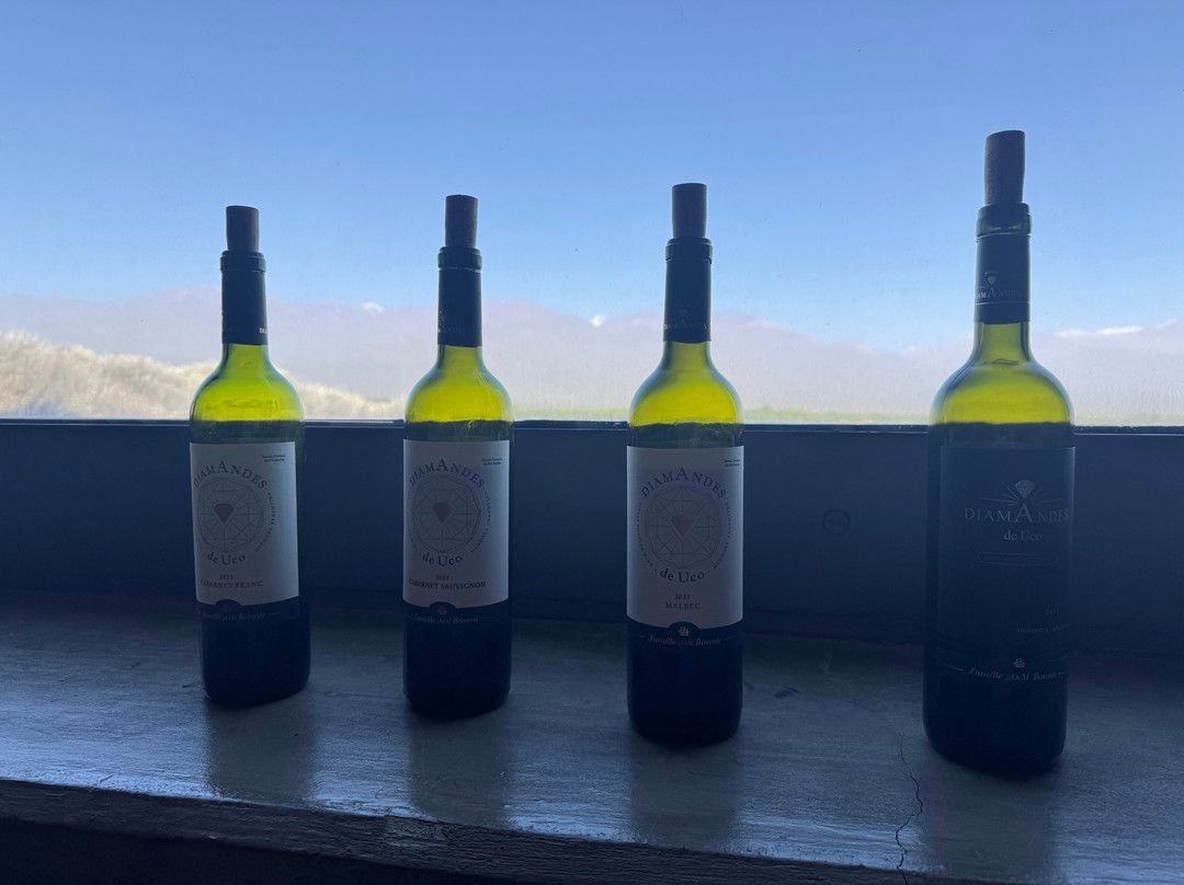 Bodega DiamAndes-门多萨必去景点