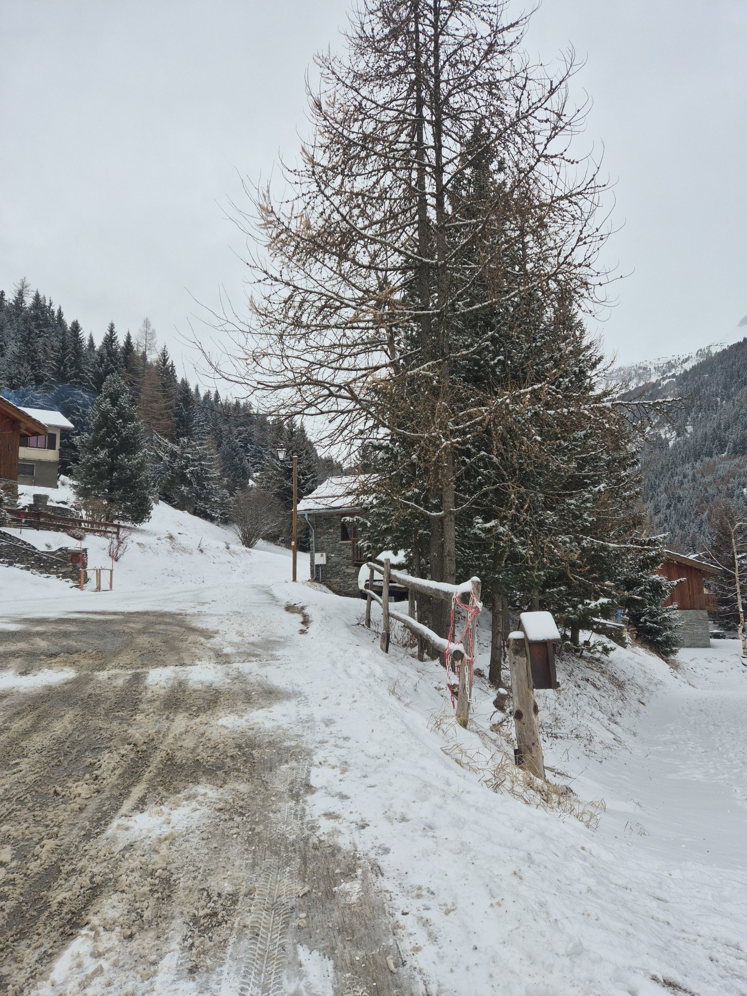 SOWELL Family Valfrejus-官方