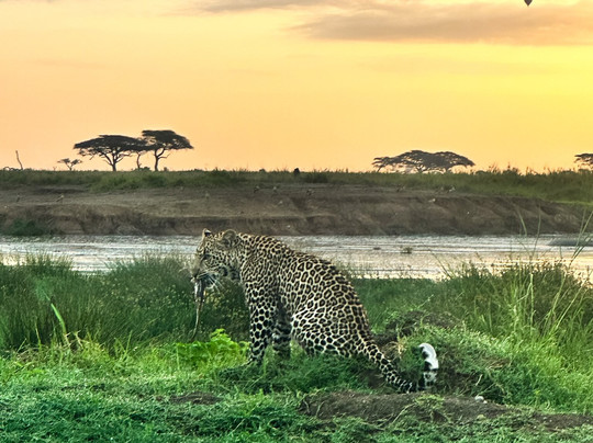 lets wander Tanzania-莫西必去景点